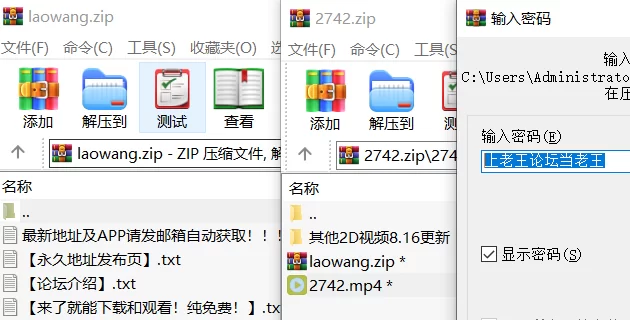 高颜值 [高清修复]布里安妮・本森喜欢大尺寸【1v+2G】