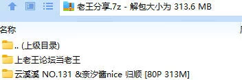 福利姬 云溪溪 NO.131 &奈汐酱nice 归顺【80P+313M】