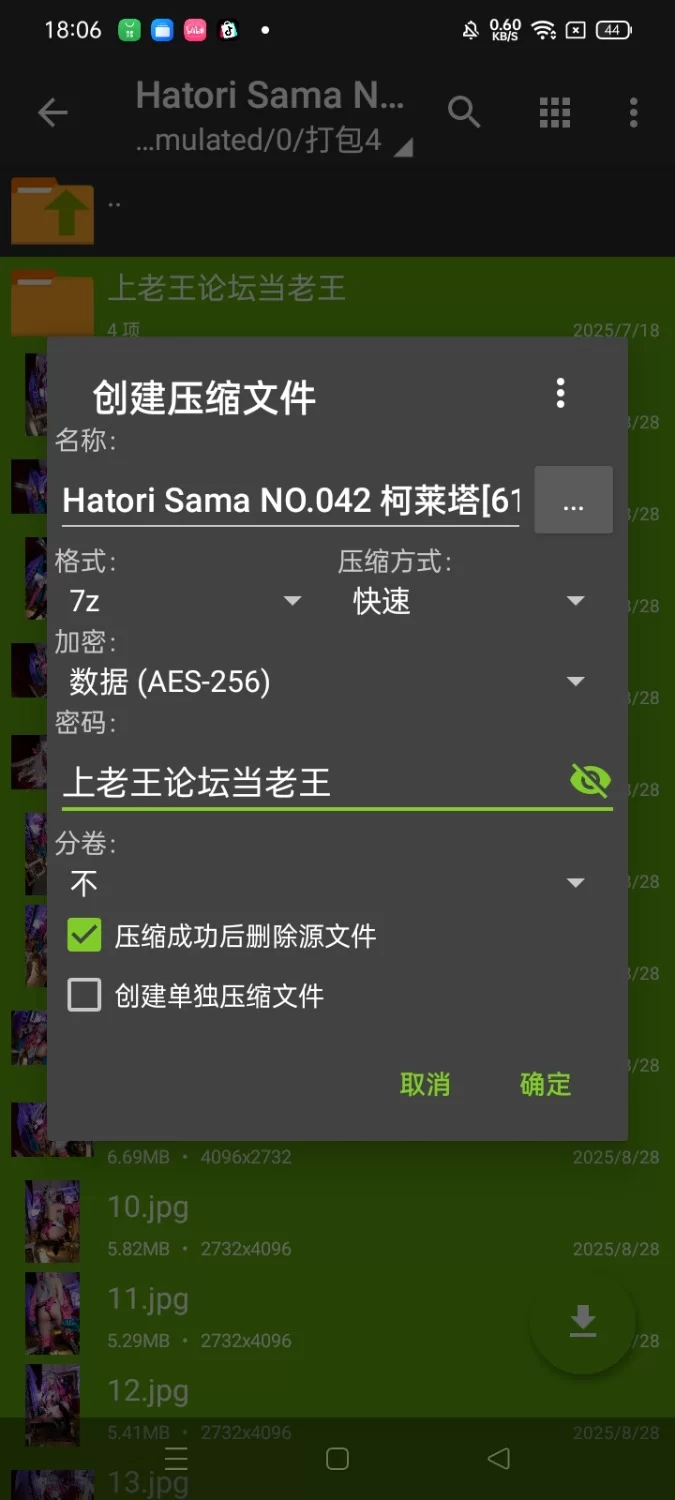 Cosplay Hatori Sama NO.042 柯莱塔【61P4V+1.14G】
