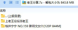 福利姬 桜井宁宁(宁宁子同学) NO.159 新符文女仆【120P+844M】