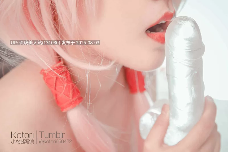 Cosplay 小鸟酱合集-星奈奈 2B 蕾姆 蝶祈 霞之丘诗羽 玉藻前5套COS 【1+2.6G】