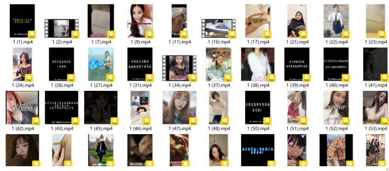 绿帽&换妻 最新抖音风反差婊合集【365V+13.73G】