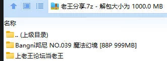 福利姬 Bangni邦尼 NO.039 魔法幻境【88P+999MB】