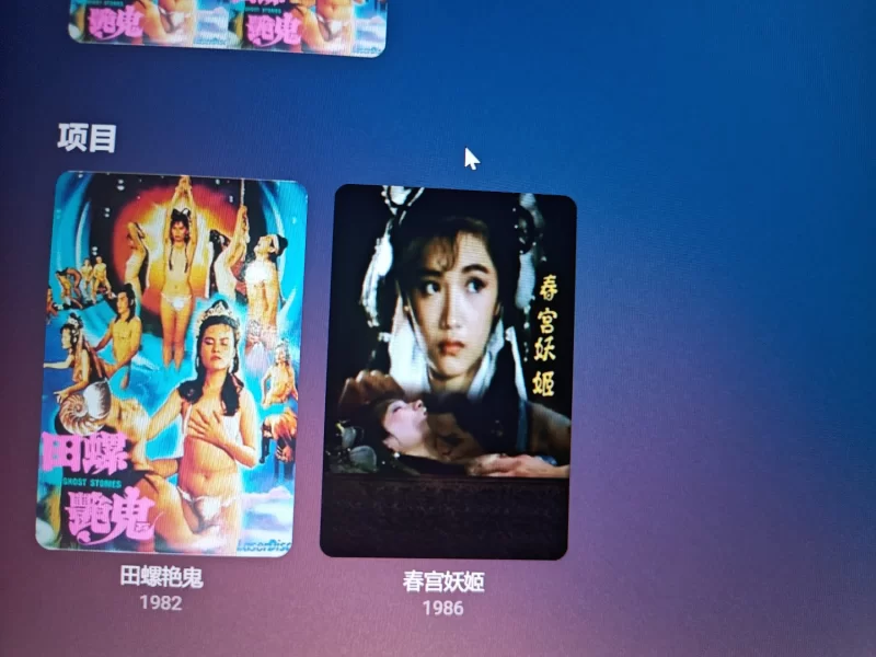 港台 找到的一些港台三级片和四级片的合集都是磁力【207v+3.3t】