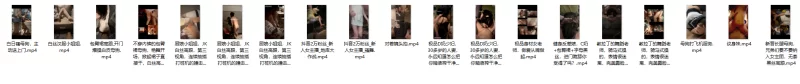 91大神 大神 Vissstaaaaas 合集 4G 百度盘【19V+4G】