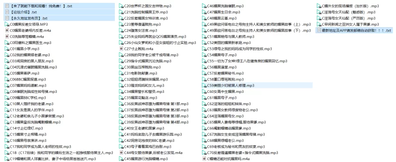 合集类 陈璐音声合集 79部【79v+891M】