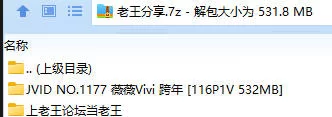 福利姬 JVID NO.1177 薇薇Vivi 跨年【116P1V+532MB】
