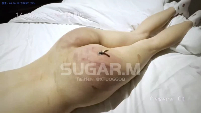 美女御姐 纹理-调教各种极品女奴大师 母狗SM调教合集【69V+2G】