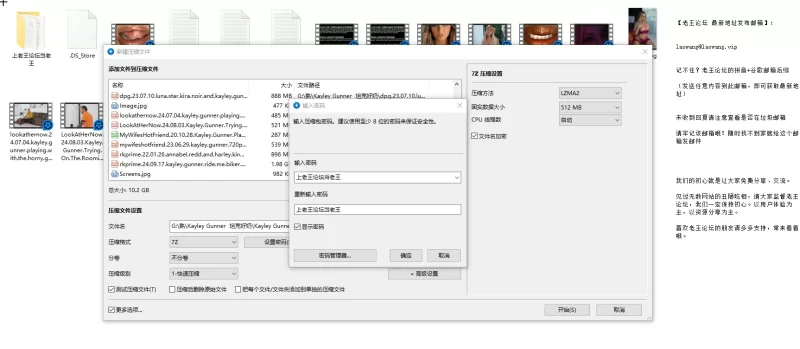 少妇 退役女兵Kayley Gunner的第二人生【14v+10g】