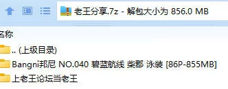 福利姬 Bangni邦尼 NO.040 碧蓝航线 柴郡 泳装【86P+855MB】