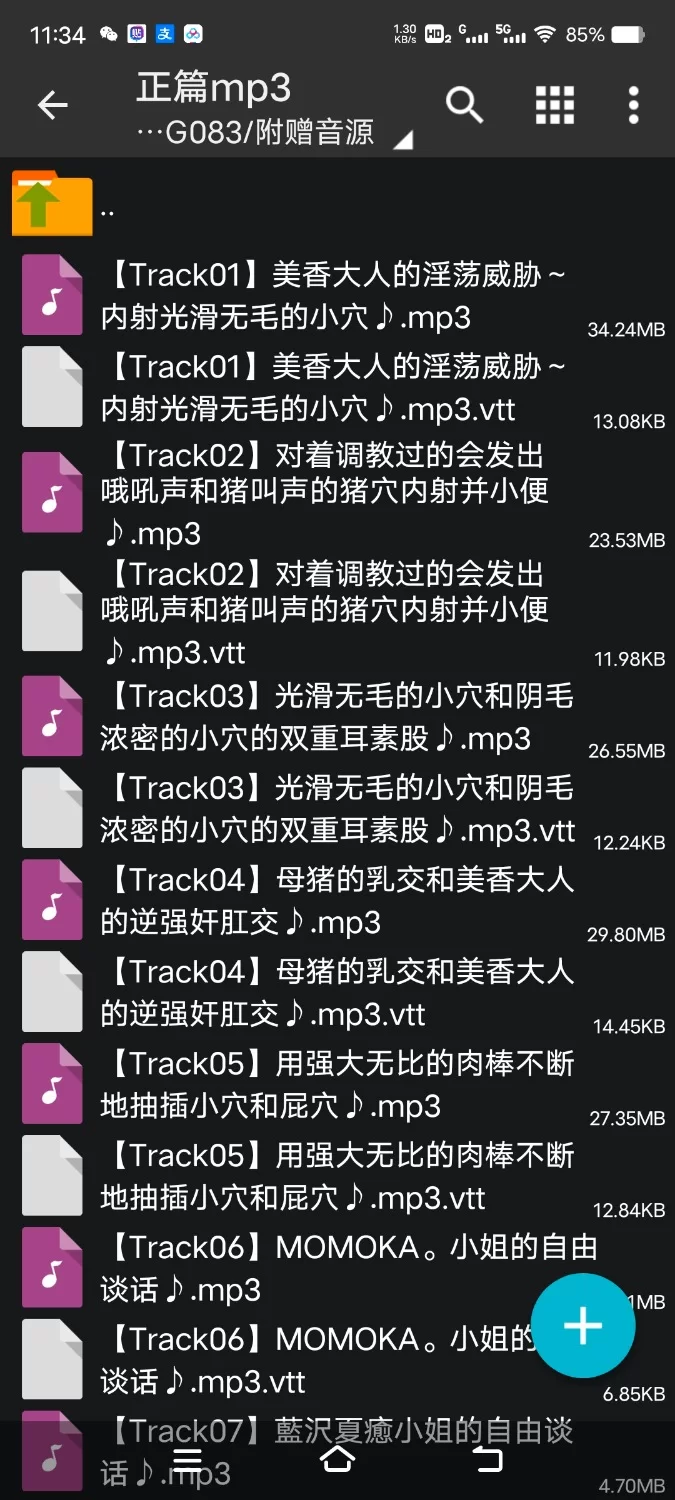 ASMR [简体中文版]新体操社的女孩们 被光滑无毛和阴毛浓密的双重淫荡小穴夹着射精【6V+1.6G】