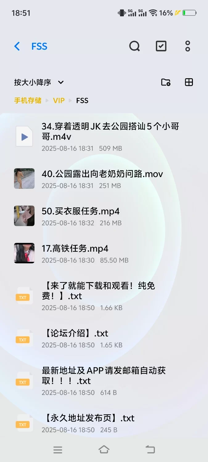 有剧情的 FSS听主人指令出门做任务，漏出给陌生人口交被操【12视频+7.53G】