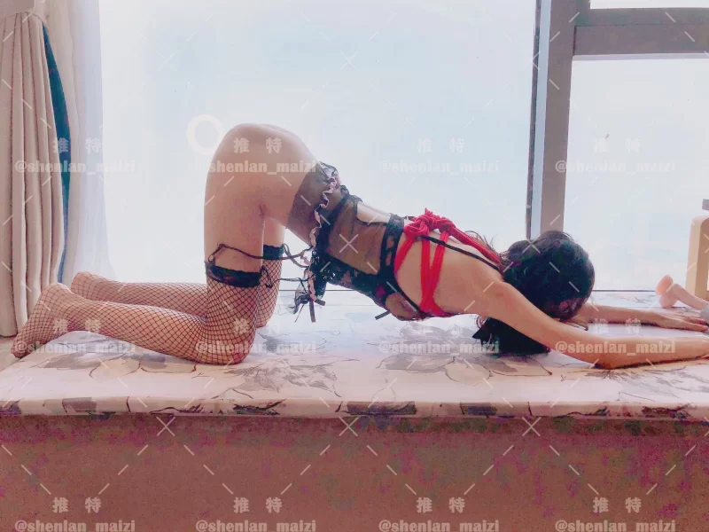 熟女少妇 淫荡小少妇Shenlan_maizi撒尿M腿【314P36V+228m】