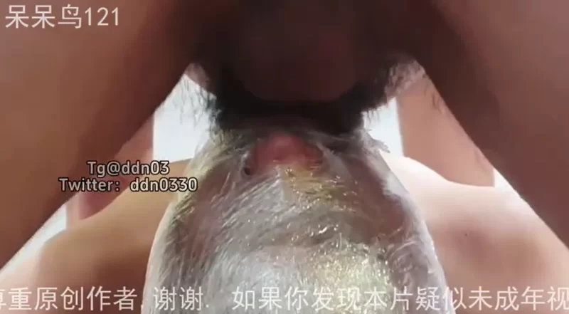 91大神 个人收藏91视频，自看精选，打包分享，打桩口交哀哀叫【40V+2.14G】