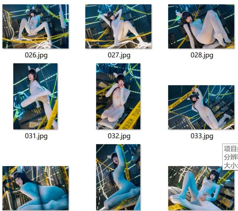 福利姬 咬一口兔娘ovo 琳妮特 男友衬衣 霞沢 乌龙女警 蕾姆咩咩 5【1+519M】