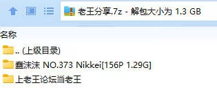 福利姬 蠢沫沫 NO.373 Nikkei【156P+1.29G】