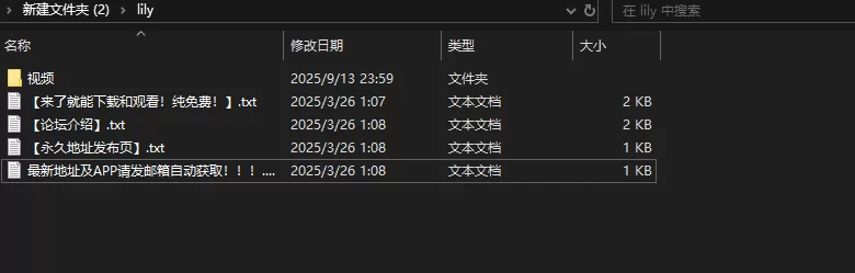 少妇 st新主播 小学信息老师 OL-Lily【20v+16.2g】