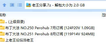 福利姬 布丁大法 Perohub 7月8月订阅【243p34v+2G】