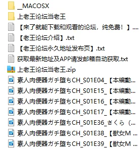 3p/多p 素人肉便器ガチ堕ちCH选集【7V+13.7G】
