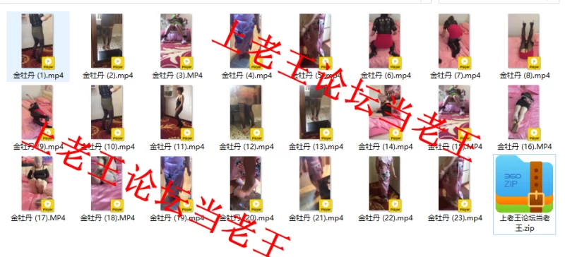 自拍 熟女  金牡丹 广场舞23V【23V+2.6G】