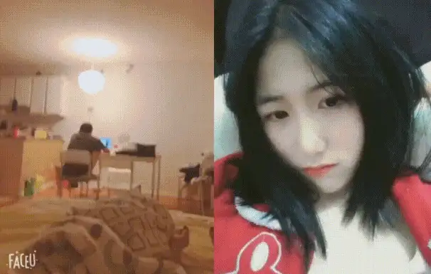 女大学生 电报交流群内部福利❤️精选8位高校露脸反差婊【312P+22V+1.8G】