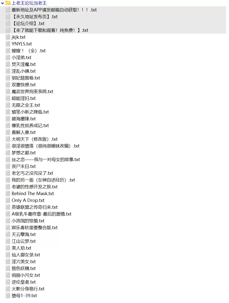 合集 2500本超多经典色情小说全种类大合集【+1G】