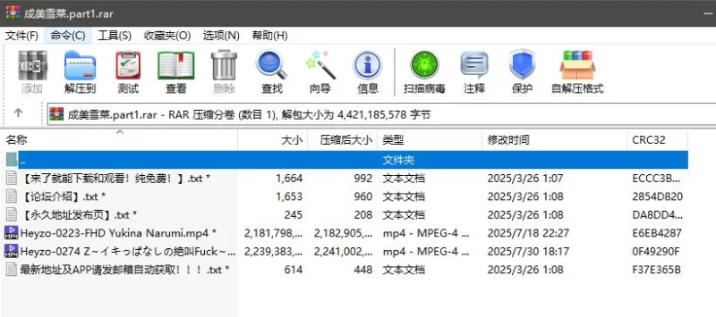 日韩AV 成美雪菜 无码合集【2v+4.11G】