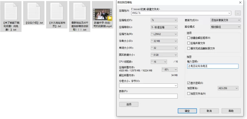 中文字幕 新娘婚前发骚和司机做爱【1V+919M】