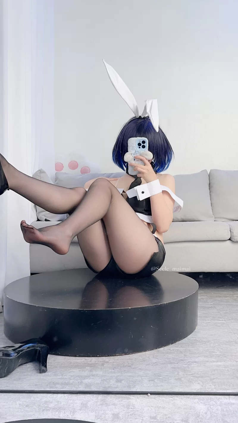 合法萝莉 Seele麦麦 - 崩坏3 兔女郎希儿【83P+148M】