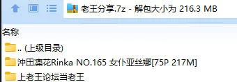 福利姬 沖田凜花Rinka NO.165 女仆亚丝娜【75P+217M】