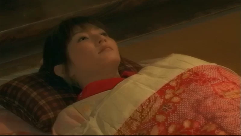 合集 成人映画 真田くノ一忍法伝系列【8V+17G】