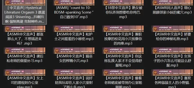 ASMR [百度盘]P站ASMR录音中文音声合集[1.08G]【1+965m】