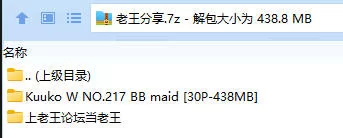 福利姬 Kuuko W NO.217 BB maid【30P+438MB】