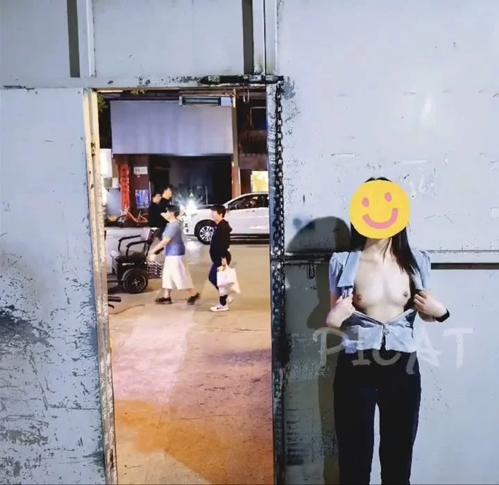 91大神 主人的任务 商场/马路/餐厅/公园各种露出【330v+36g】