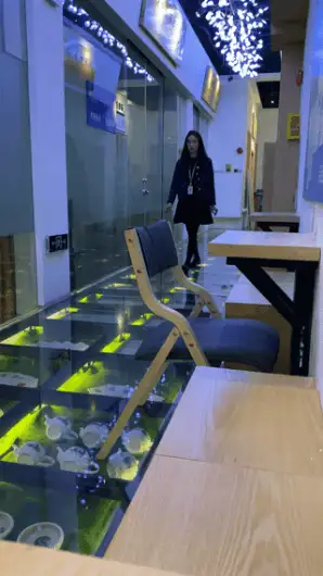 自拍 高颜值舞蹈生B下春光 舞蹈学院手持厕拍艺校舞蹈生日记私拍【541VNP+59G】