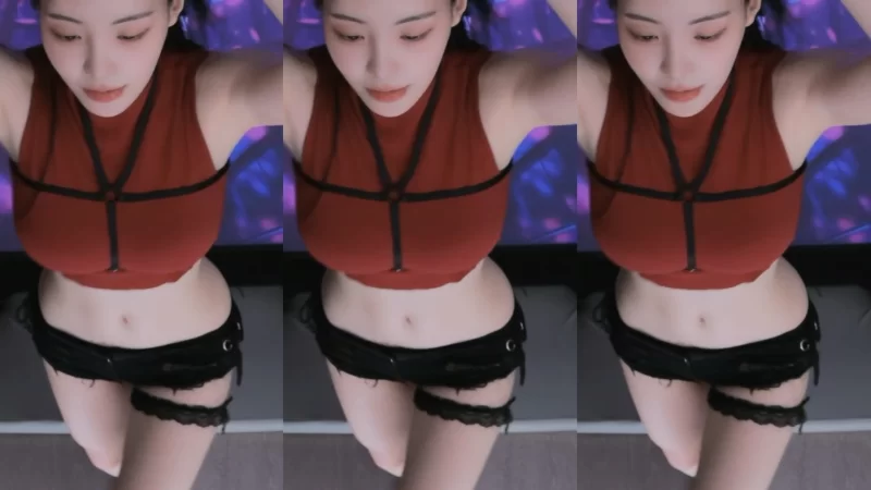 日韩主播 [自录]韩国美女主播BJ 타미미♥塔米米 近期热舞合集【16v+1.6g】