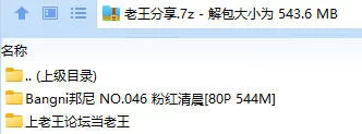 福利姬 Bangni邦尼 NO.046 粉红清晨【80P+544M】