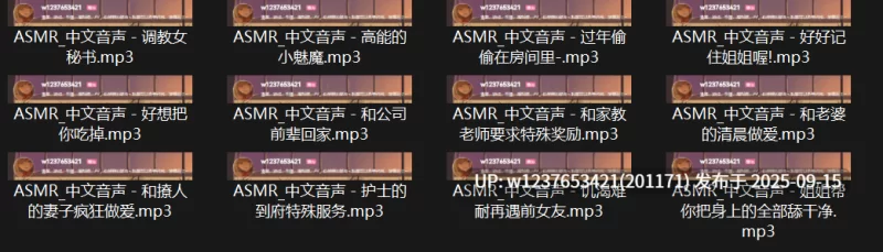 ASMR [百度盘]P站ASMR录音中文音声合集[1.08G]【1+965m】