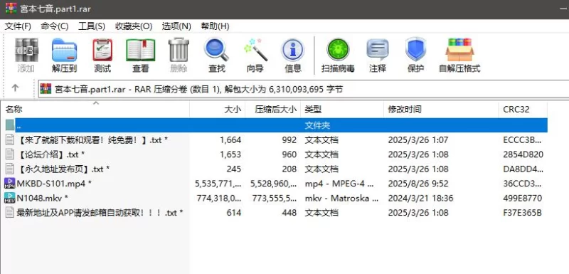日韩AV 宮本七音 无码合集【2v+5.9g】