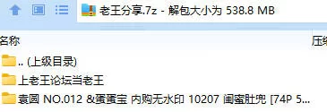 福利姬 袁圆 NO.012 &蛋蛋宝 内购无水印 10207 闺蜜肚兜【74P+538MB】