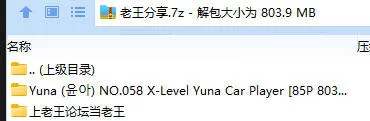 福利姬 Yuna (윤아) NO.058 X-Level Yuna Car Player【85P+803MB】