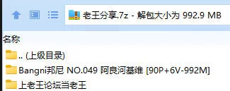 福利姬 Bangni邦尼 NO.049 阿良河基维【90P+6V+992M】