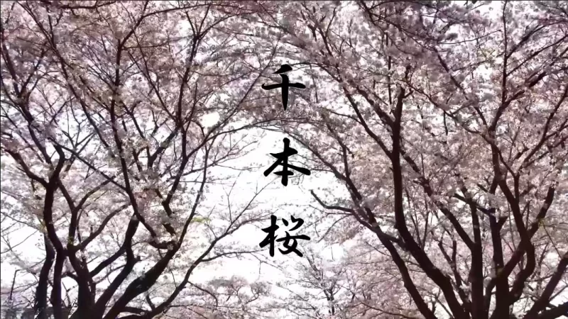 各种玩法 FC2-424715 无法想象的发达乳房，日式美女脸上非常紧张【7v+5.44G】
