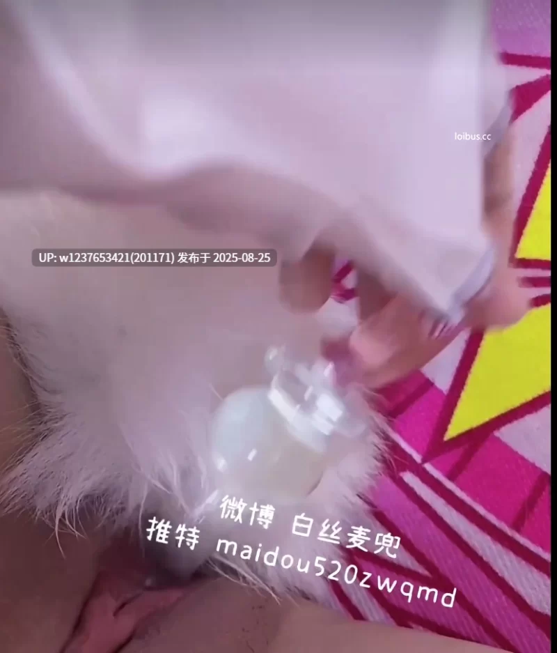 自拍 麦兜小可爱cos漫狐狸【1+1.2g】