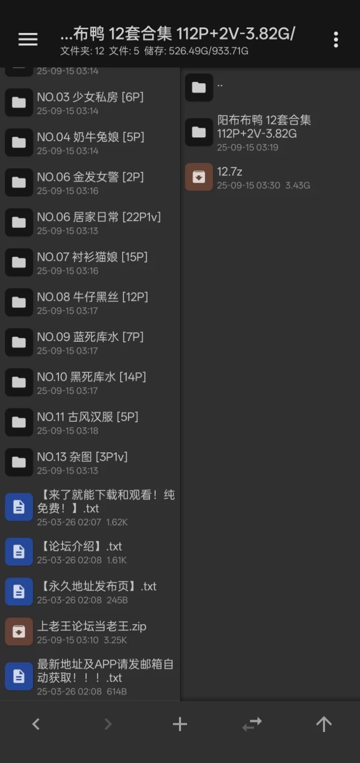 唯美写真 onlyfans性感御姐萝莉博主阳布布鸭12套合集【npnv+3.43g】