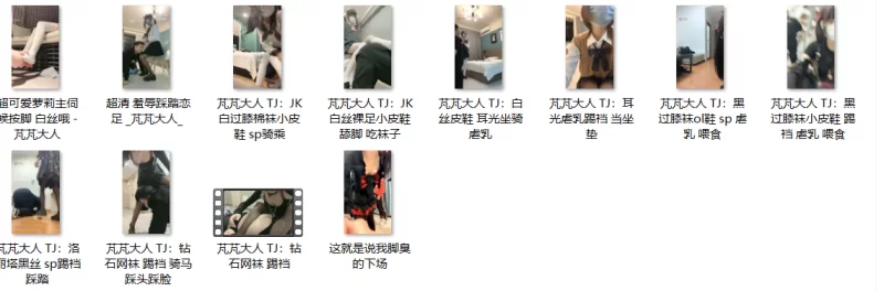 合集 芃芃大人视频合集【超过5分钟的视频175v+56.9g】