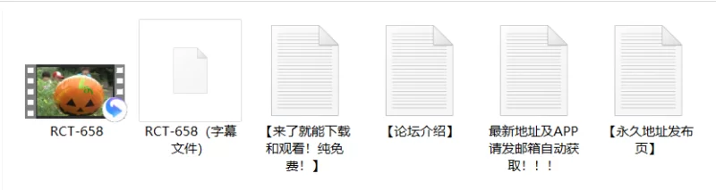 剧情 RCT-658 目标是cosplay巨乳小姐姐 小孩性骚扰痴汉队 万圣节篇【1v+3.88G】