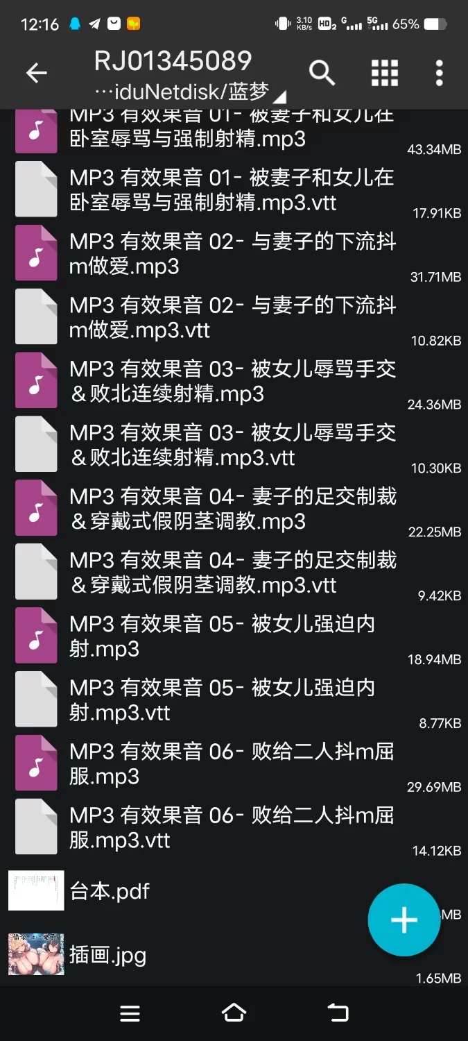 ASMR [简体中文版]因负债而送出去的妻女变成了性格恶劣的下流婊子对我进行抖m调教【6V+200M】