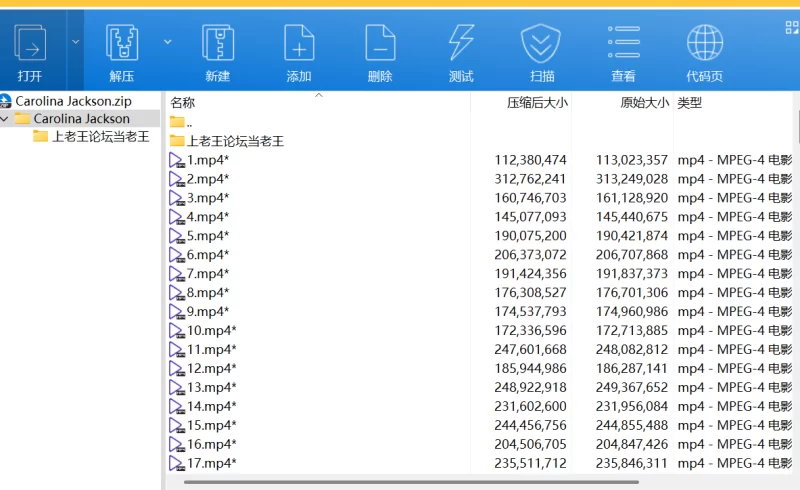 合集 P站博主Carolina Jackson最新全部视频合集【187v+42.86G】
