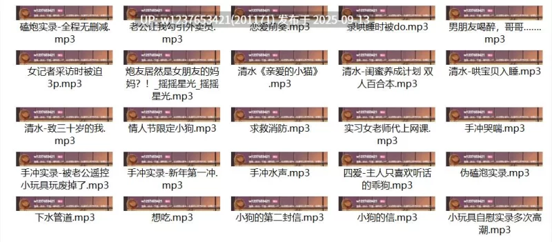ASMR 摇摇星光中文音声67部合集[1.17G]【1+1.17G】
